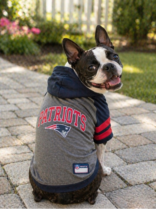Pets First Other - NFL New England Patriots Hoodie for Dogs Size Large